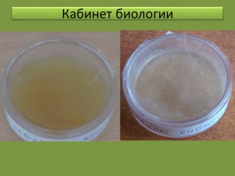 Кабинет биологии